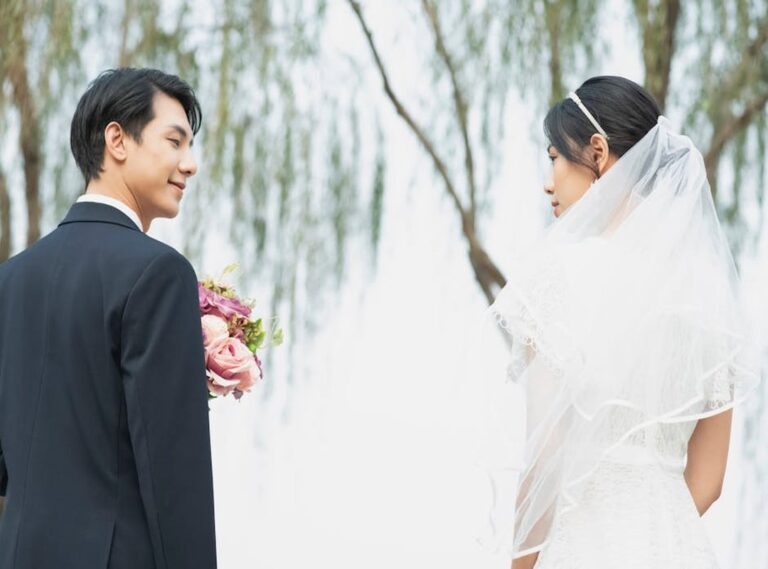 the double life of my billionaire husband online subtitrat