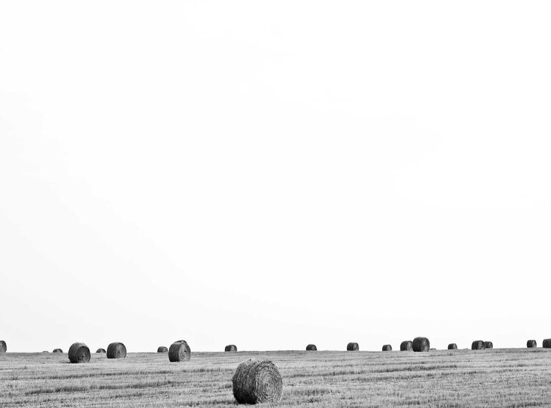 DIY Guide: Create a Custom Animated GIF in Under 5 Minutes