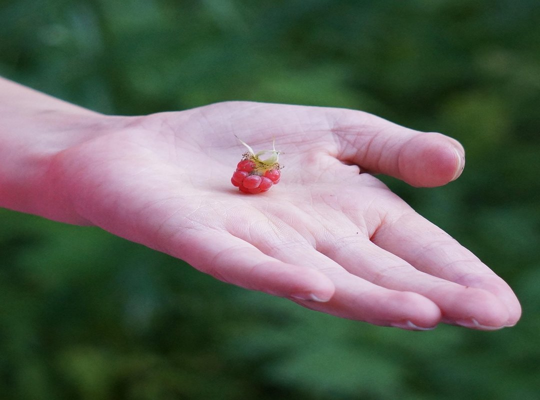 A Practical Guide to Finding Any Tweet You're Looking For