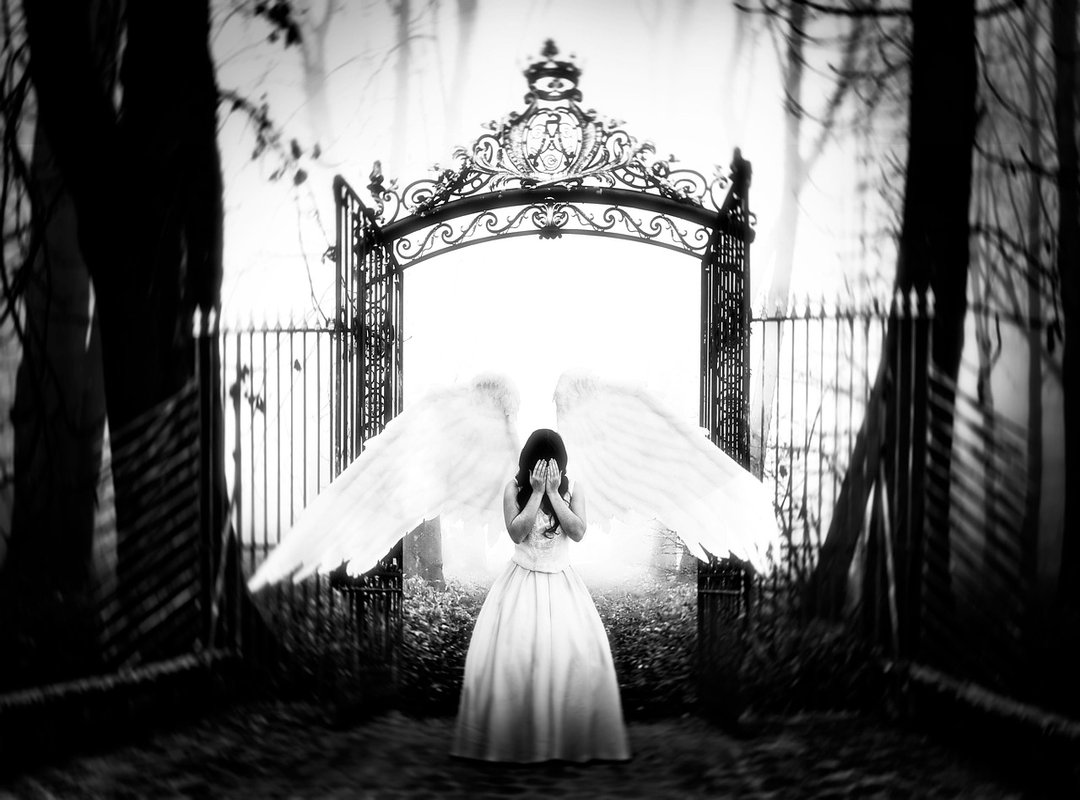 The Real-World Consequences of Digital Leaks and Cyber-Harassment